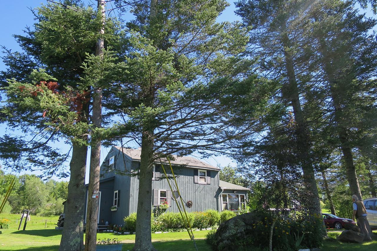 Firefly Bed & Breakfast Lincoln Exterior photo